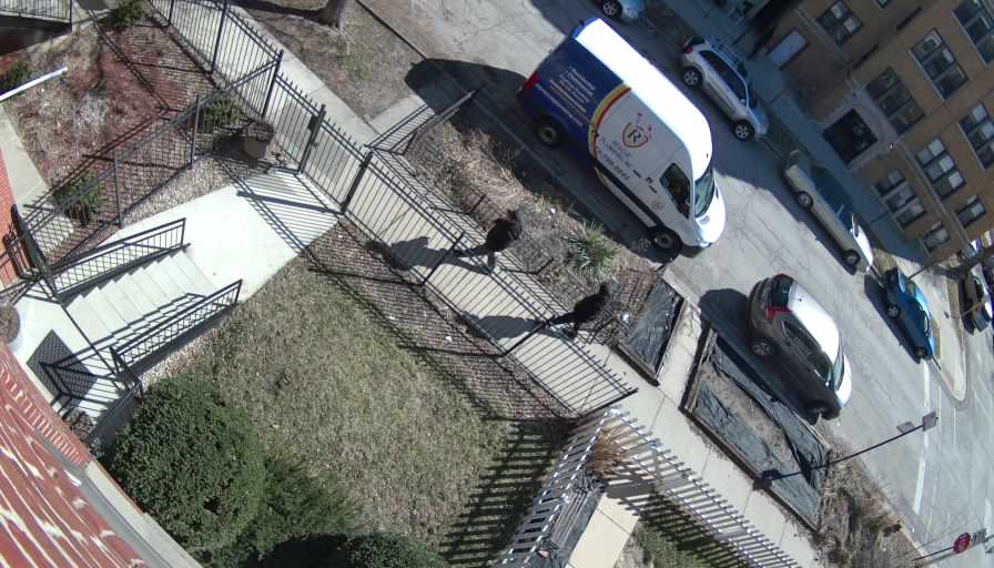 Reolink Camera Two_01_Reolink Home Hub One_20260323105723.jpg